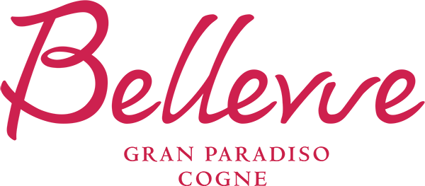 Hotel Bellevue
